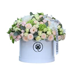 Մեծ Տուփով ծաղիկներ "Mariell" կաթնագույն պիոնանման վարդերով
