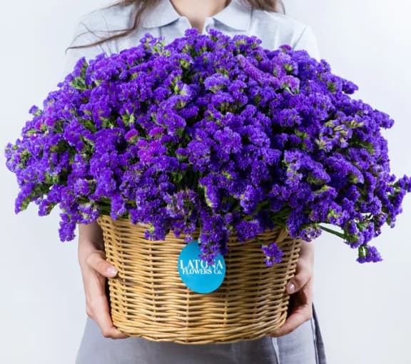 Զամբյուղ ‹Dry Purple› լիմոնիումներով