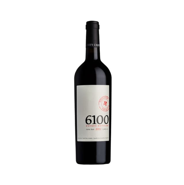 Wine "Trinity 6100" red, dry 750ml