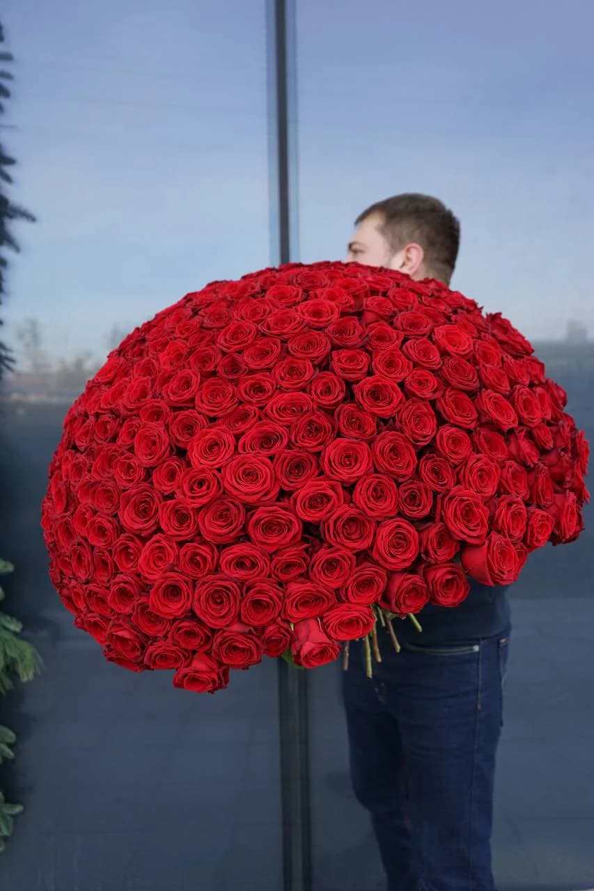 301 red roses