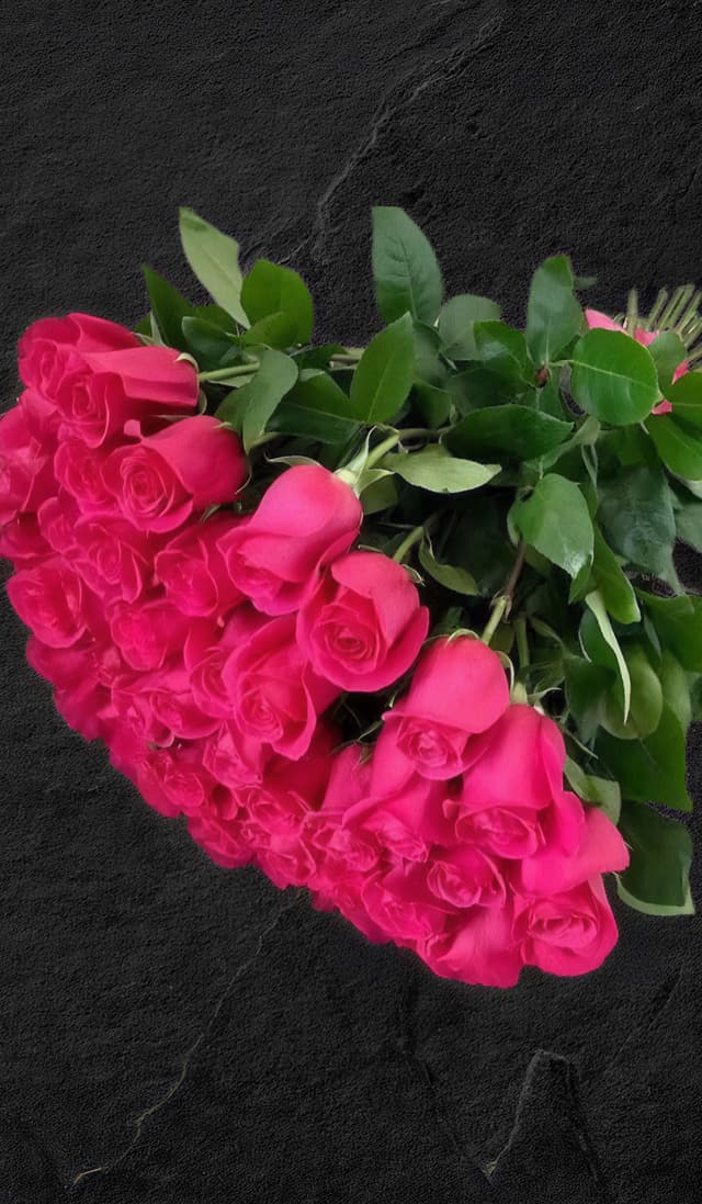 Pink Rose