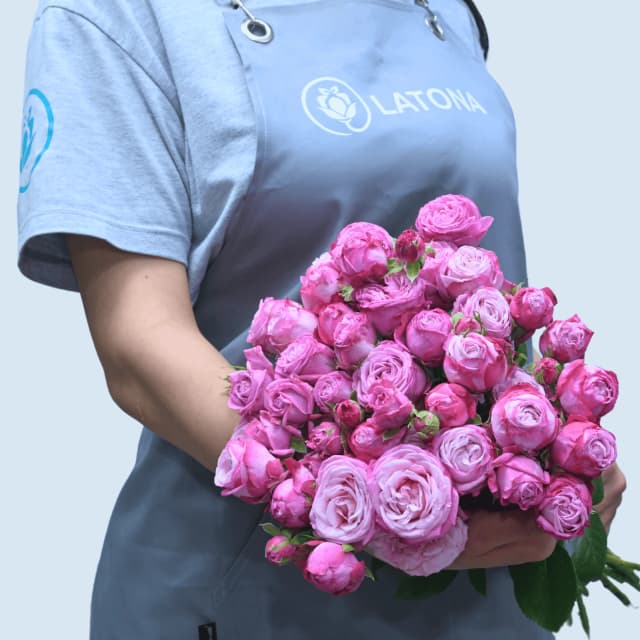 Ծաղկեփունջ Lady Bombastic պիոնանման փնջային վարդերով