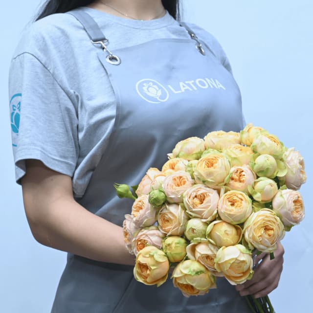 Ծաղկեփունջ Sweet Catalina պիոնանման փնջային վարդերով