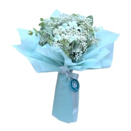 Փունջ CAMBIRA գիպսաֆիլայով և բամբակով