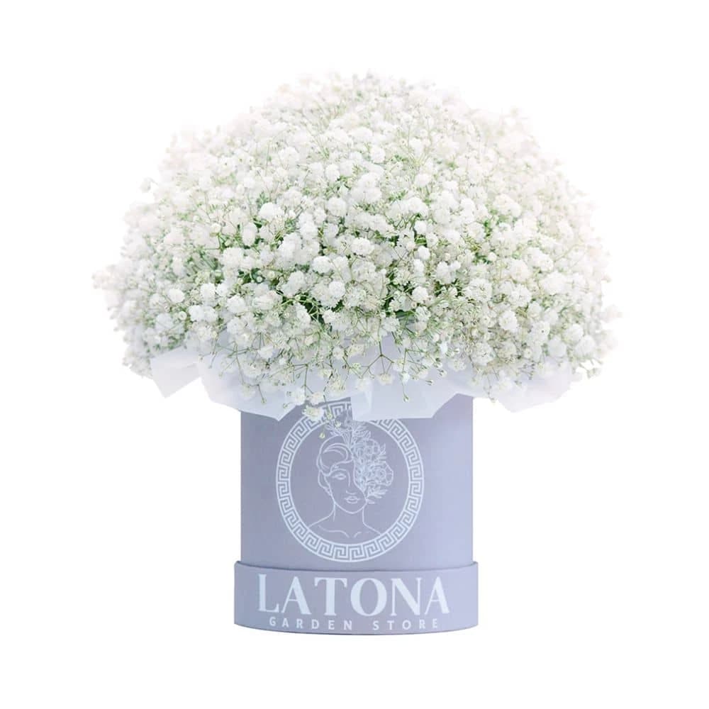 Flowers in a Box "Adana" with  baby breaths