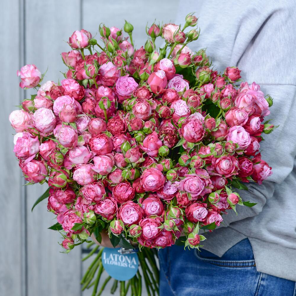 Ծաղկեփունջ ''Lady Bombastic'