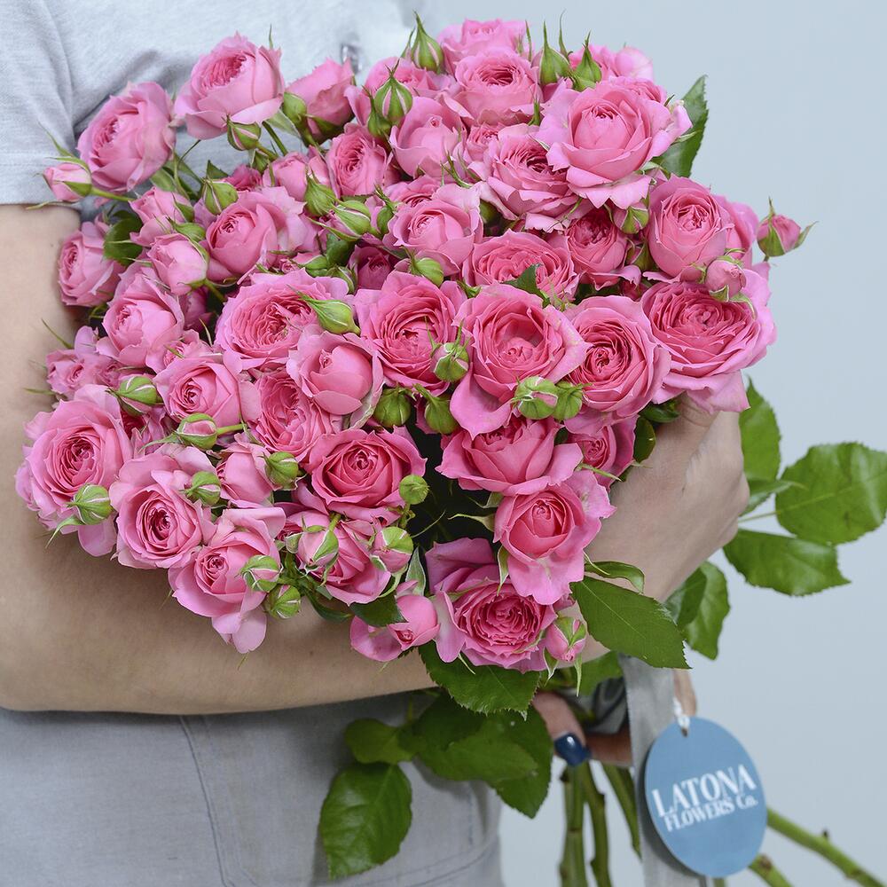 Букет из Розовых Кустовых Роз