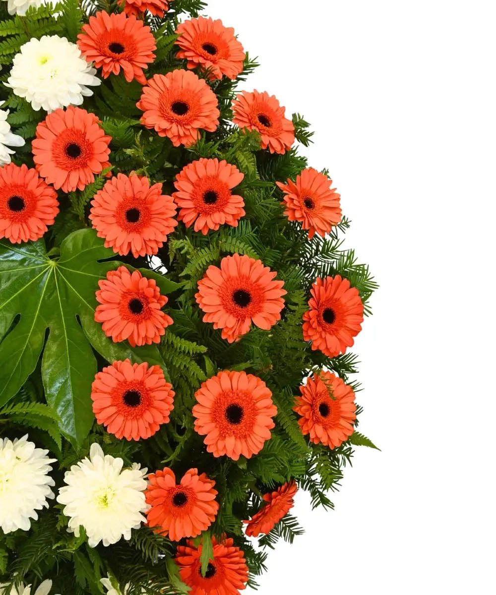 Wreath with orange gerberas 51