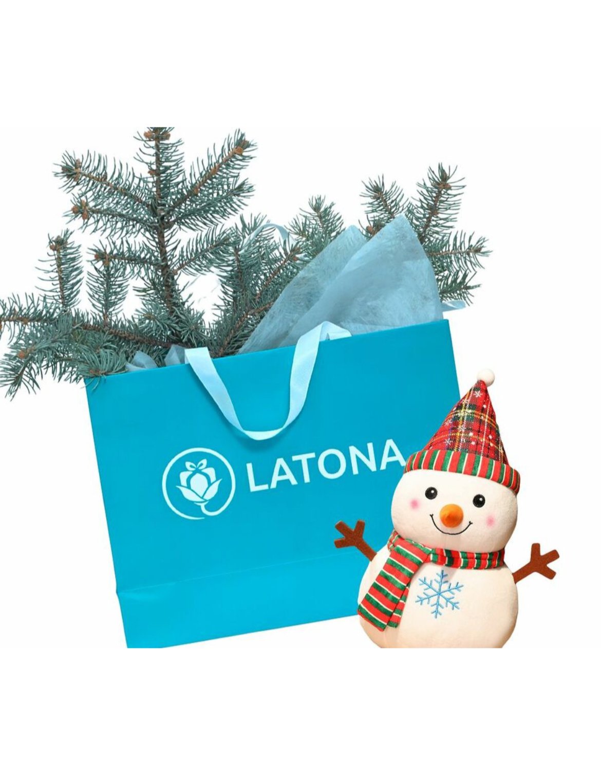 Подарочный пакет и снеговик