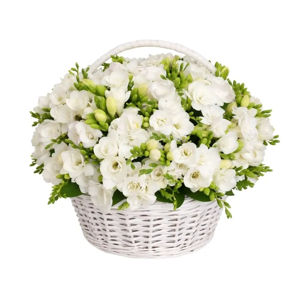 Large basket with white freesias