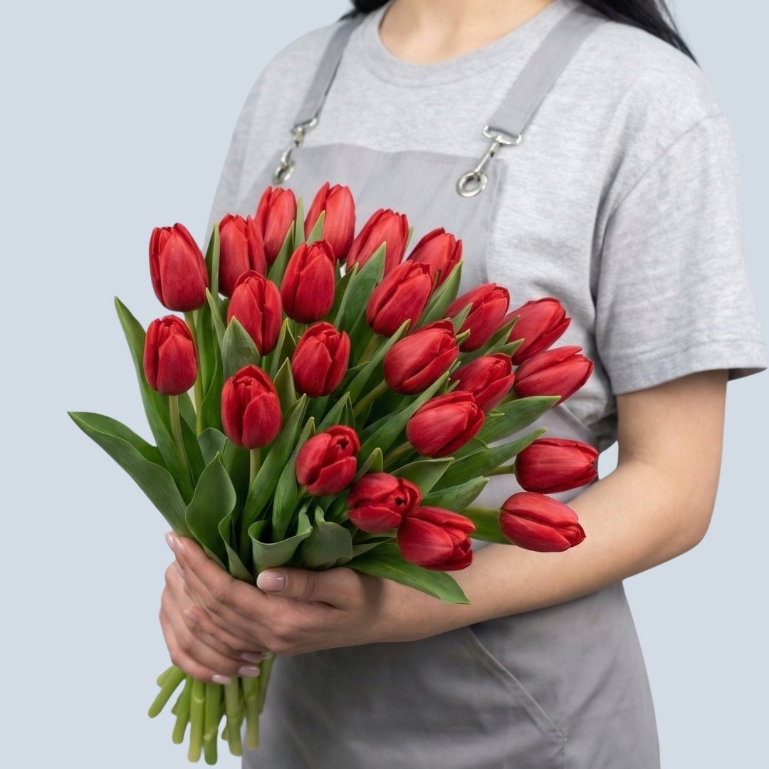 Կարմիր կակաչ 19 հատ