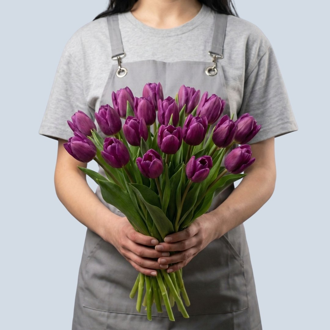 Մանուշակագույն կակաչ 19 հատ