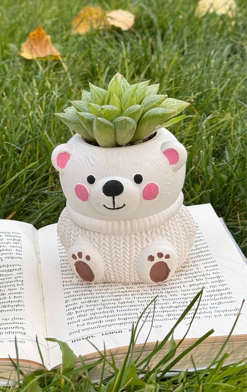 Արջուկ - Plants Gallery