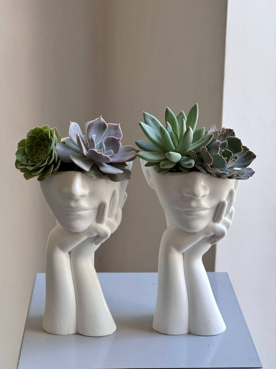 Woman’s Face Figurine - Plants Gallery 2