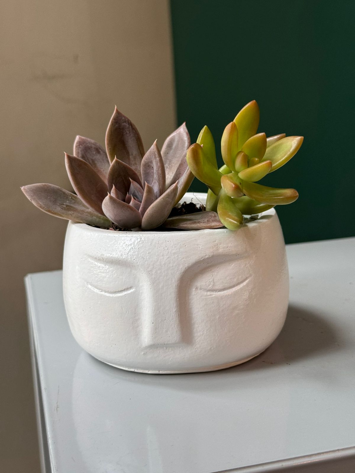 Лицо - Plants Gallery