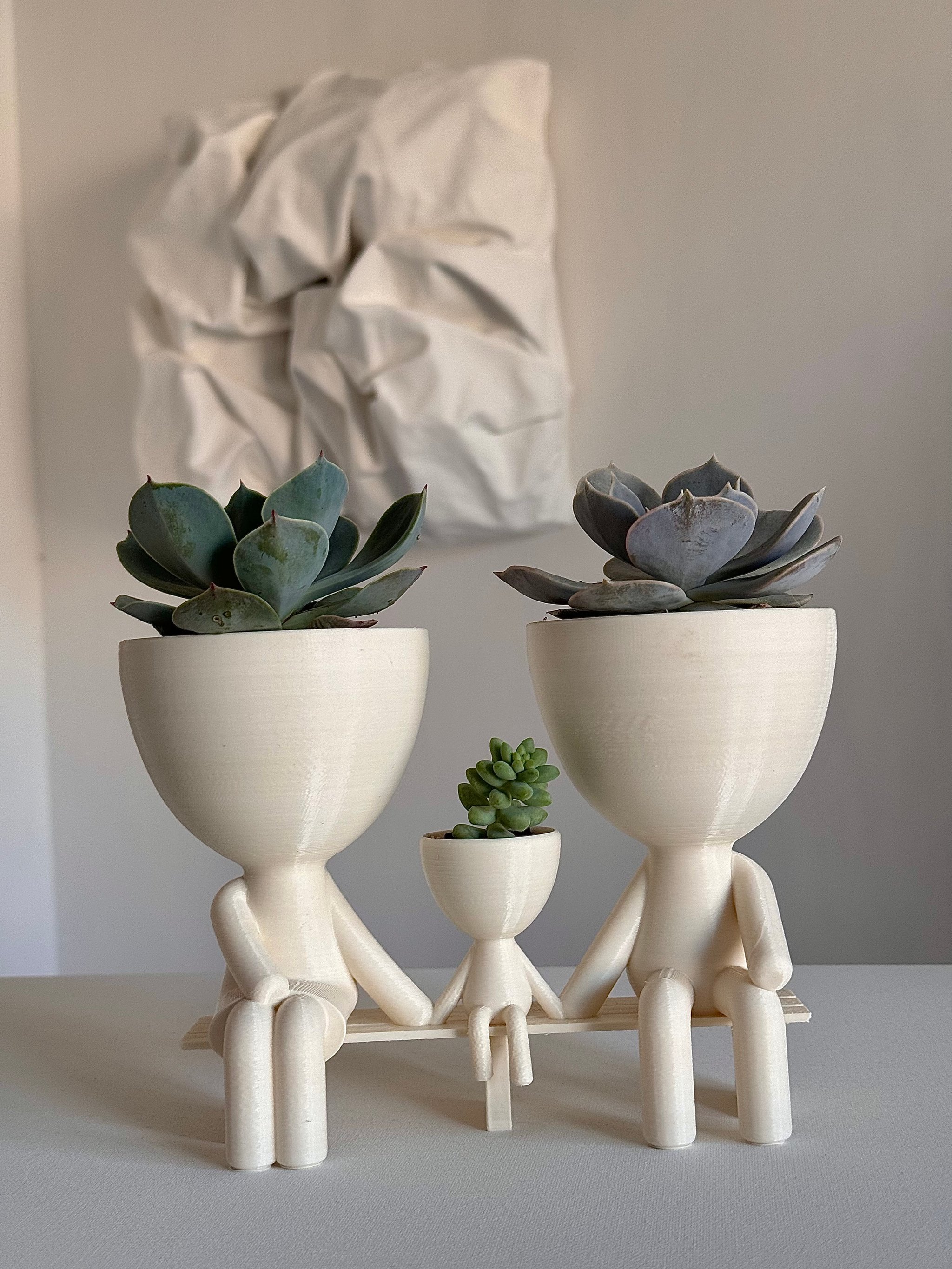 Семья - Plants Gallery