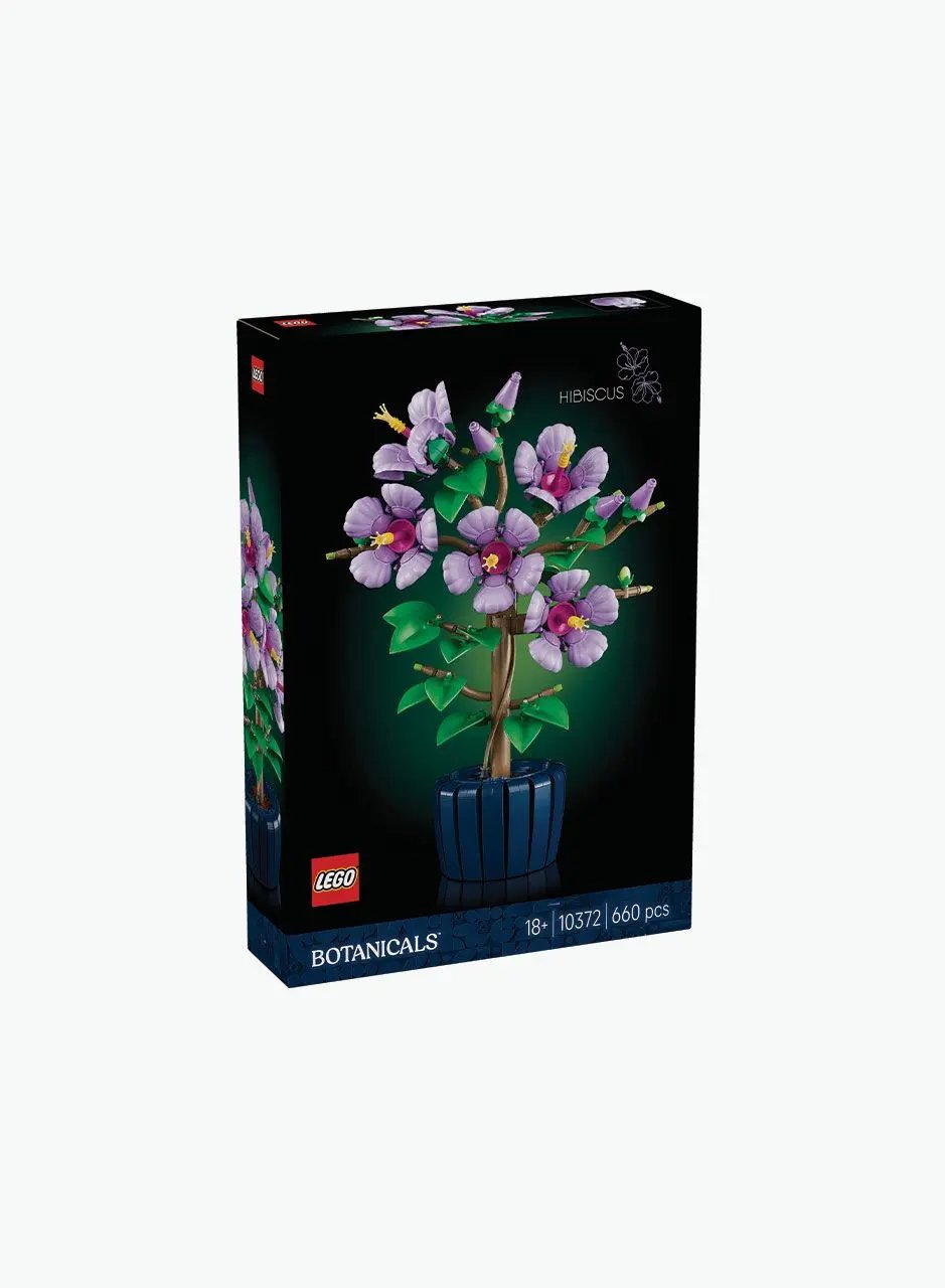Կառուցողական խաղ Botanical collection «Հիբիսկուս»