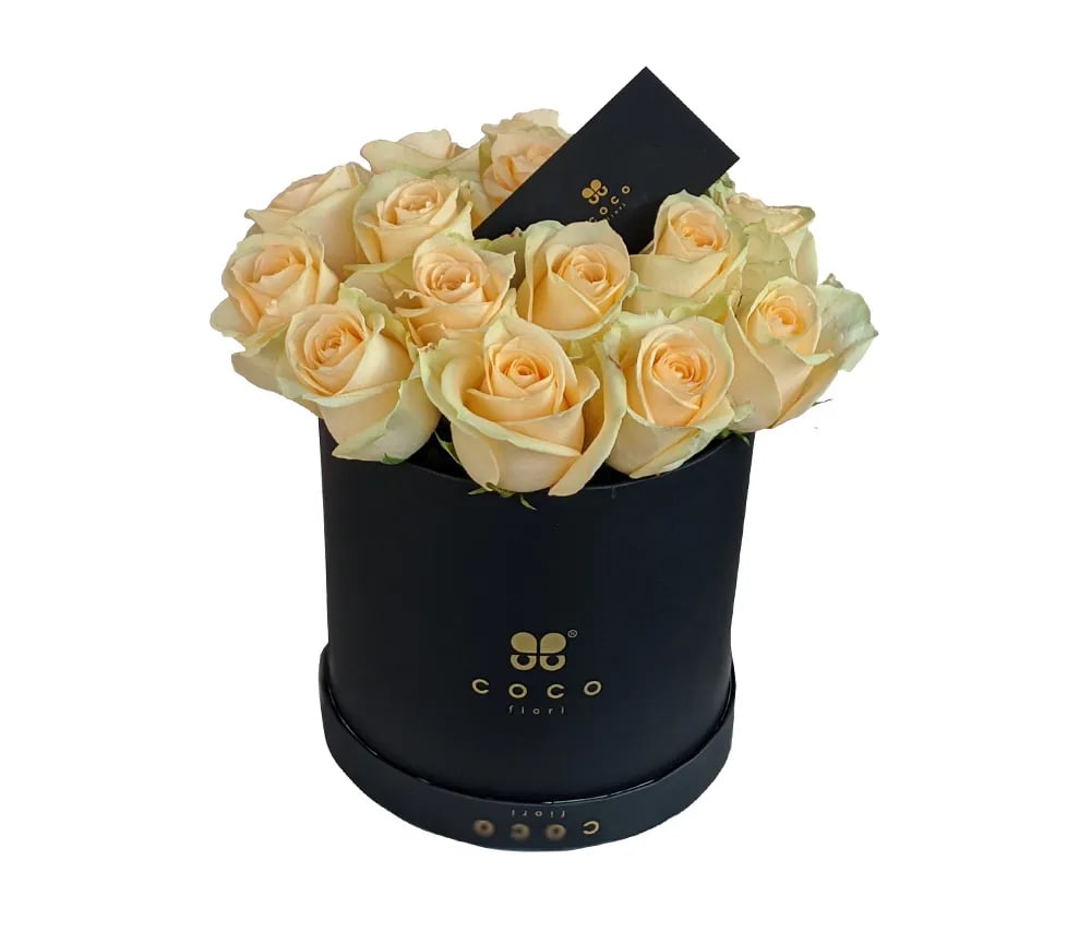 Vevera Set (medium) Coco Fiori