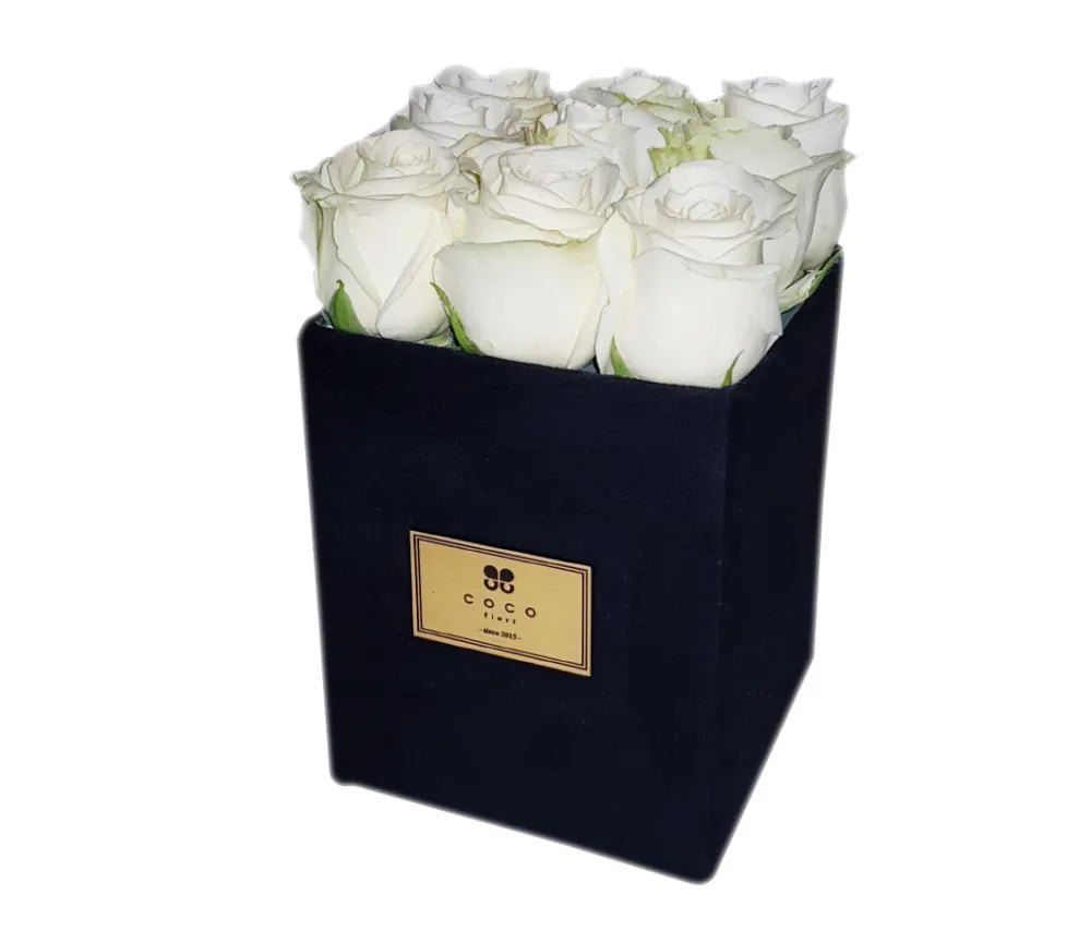 Set Amelia Black - Coco Fiori