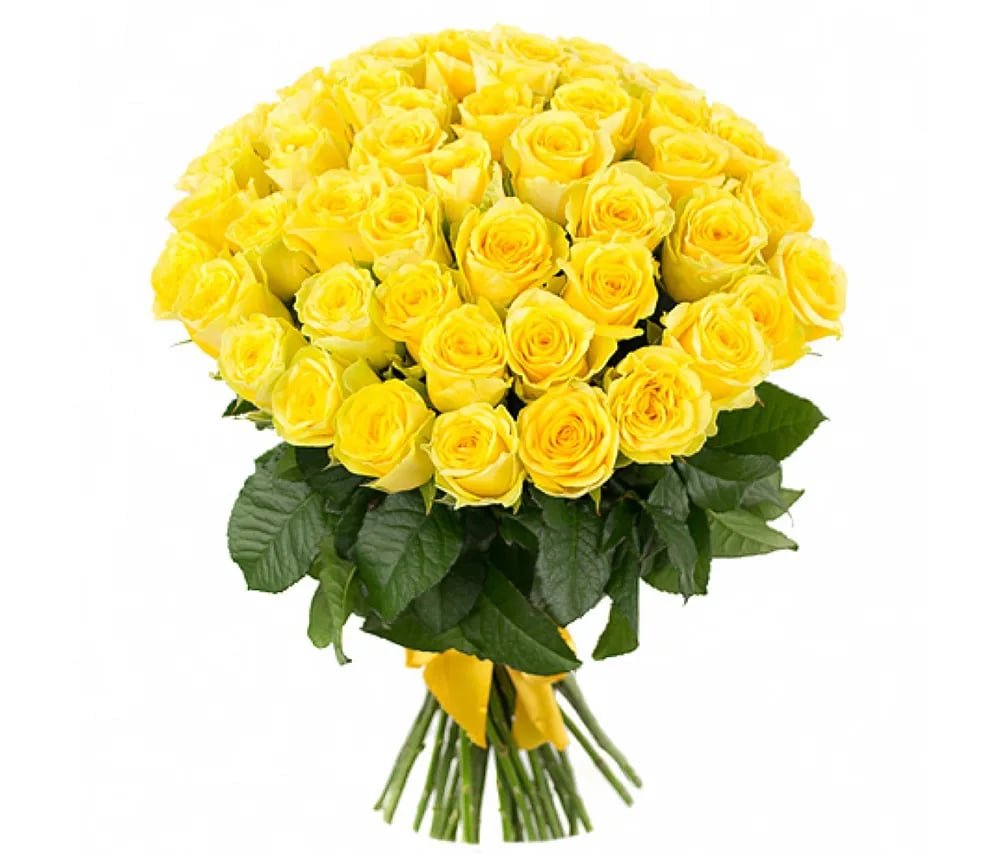 Yellow Dutch Roses 101 pcs - Coco Fiori