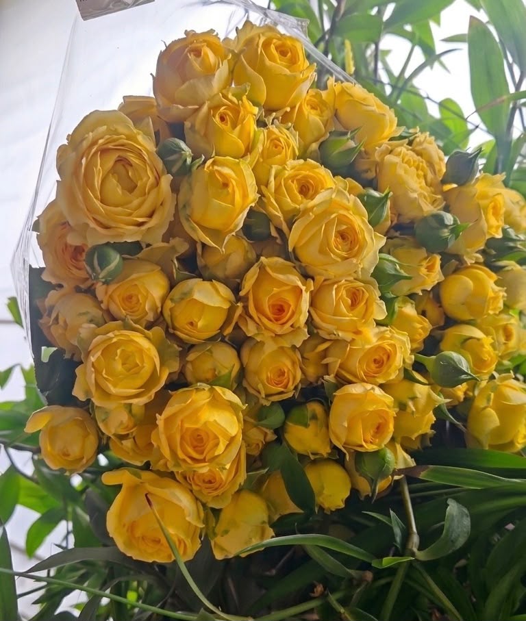 Spray roses - Vardeni