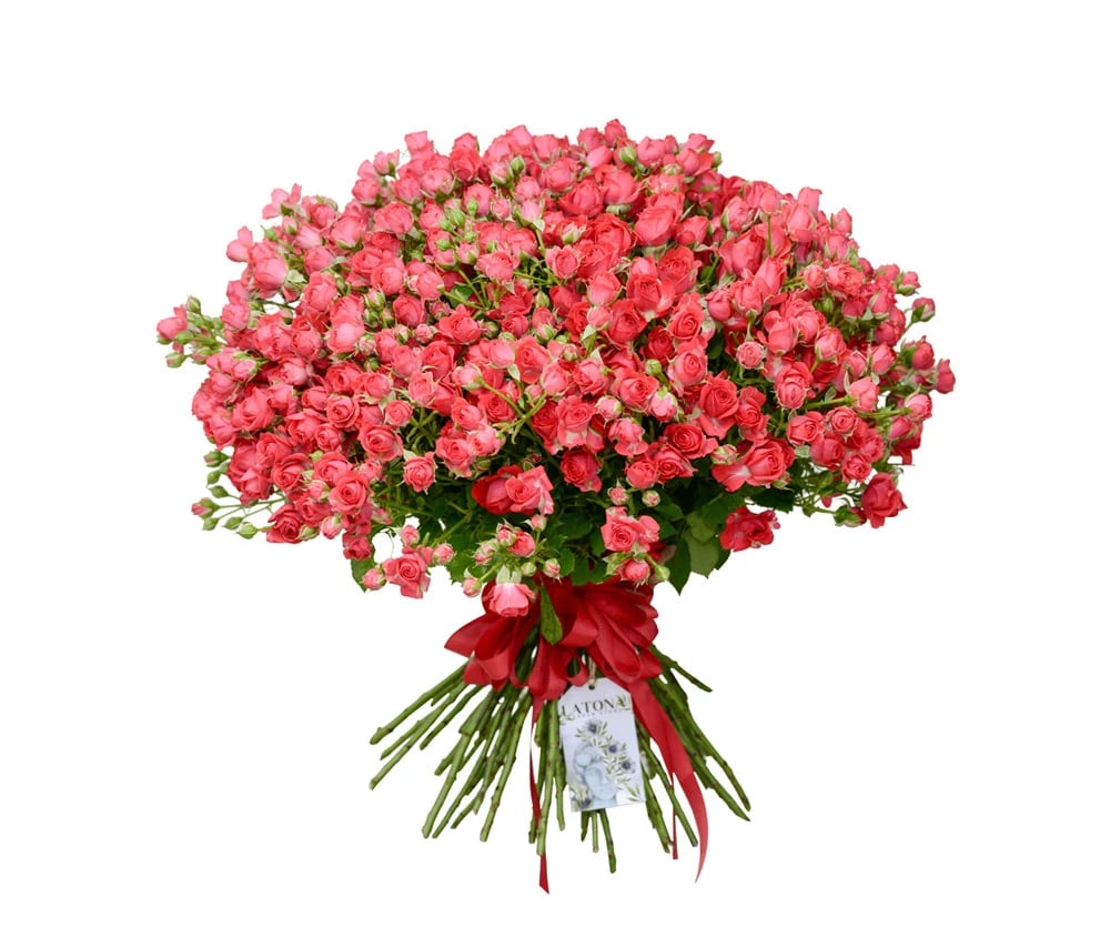 Ծաղկեփունջ կարմիր փնջային վարդերով