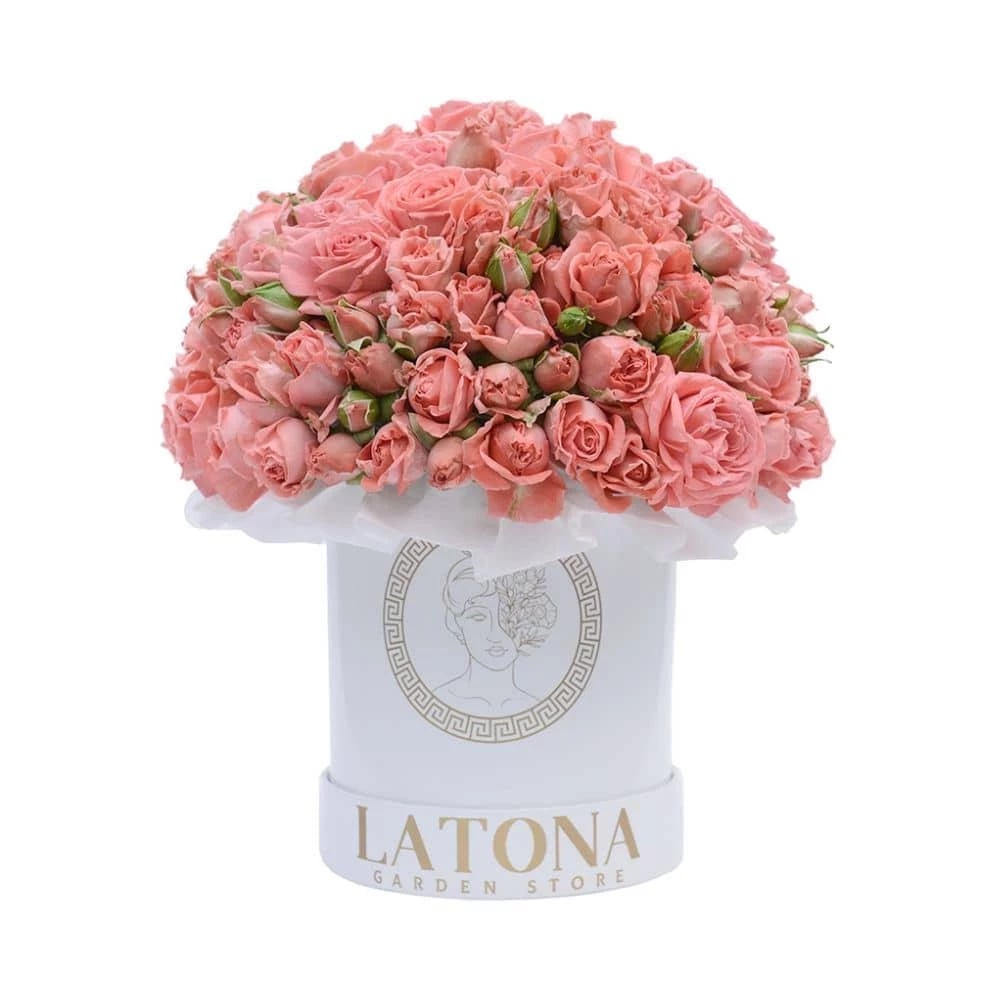 Flowers in a Box "Canola" with coral Peony Roses