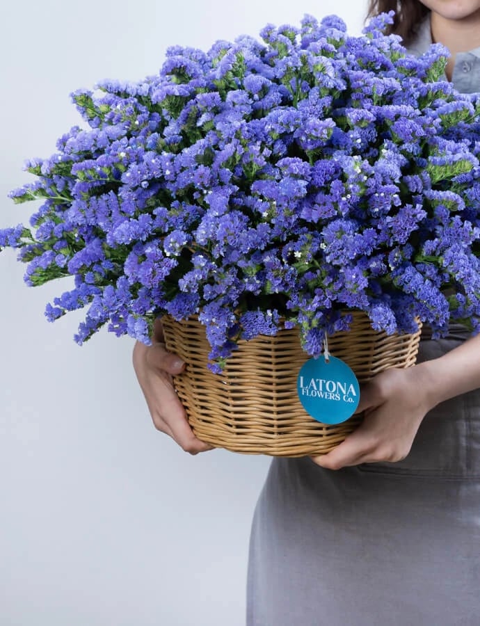 Flower in a Basket ‹DRY BLUE› with limoniums