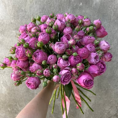 Elis.am Flowers