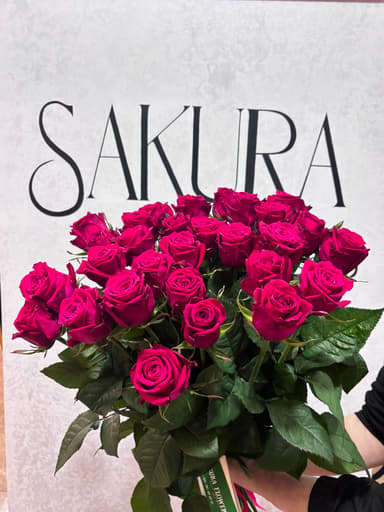 Sakura Flowers