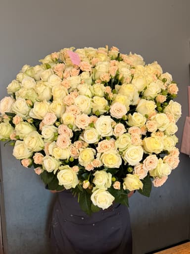 Mira Flowers