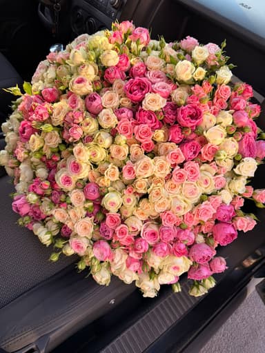 Mira Flowers