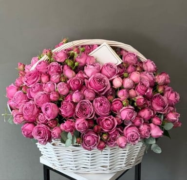Flower Lab