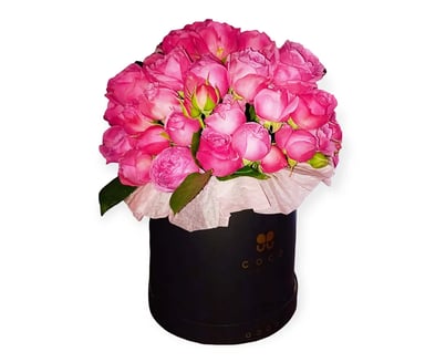 Coco Fiori