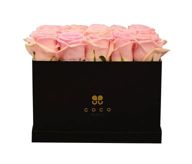 Coco Fiori