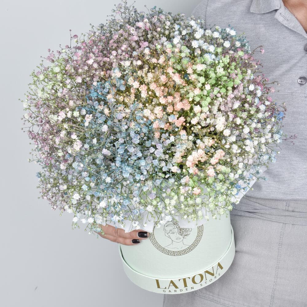 Flowers in a Box "Rainbow" with  baby breaths