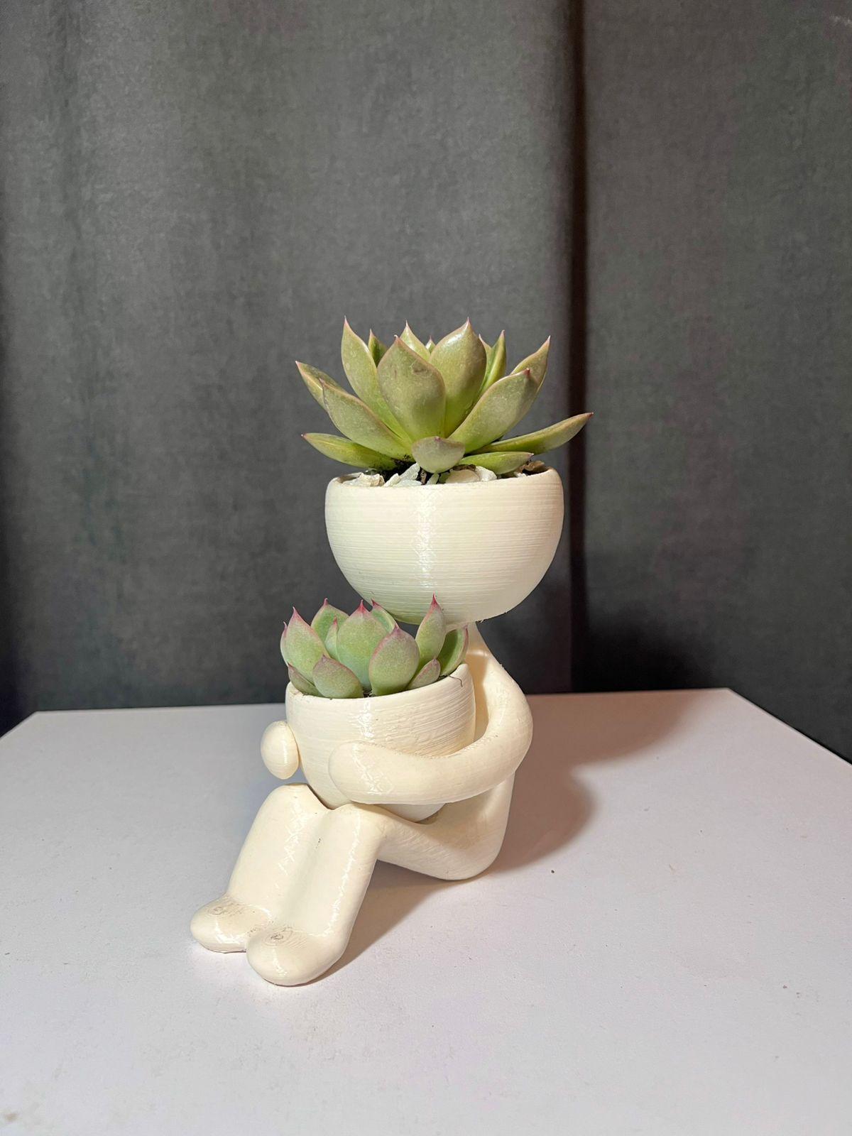 Мардук 8 - Plants Gallery