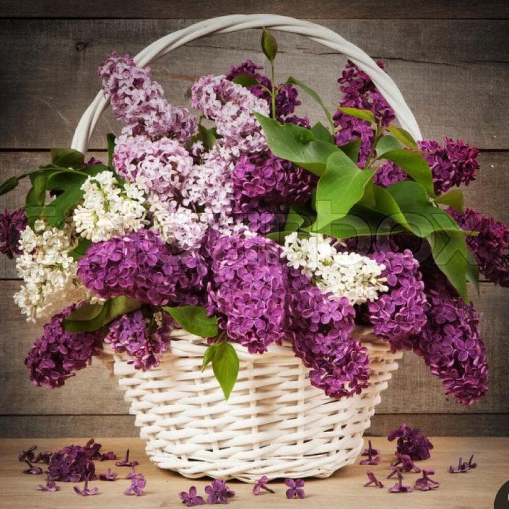 Basket with Lilacs 6 - VkusLil