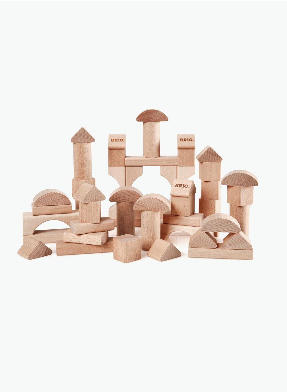 Wooden Educational Game BRIO 50pcs