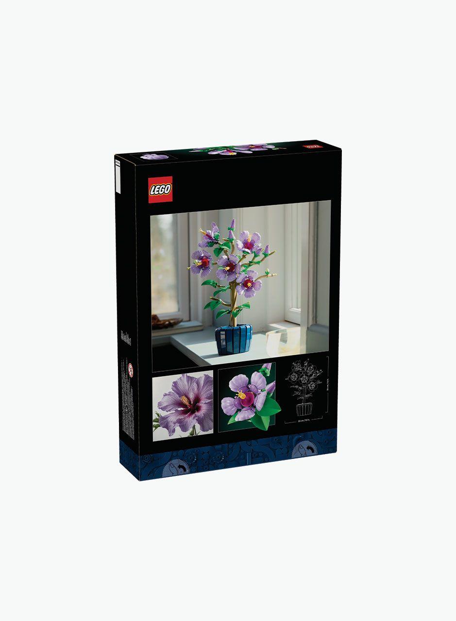 Կառուցողական խաղ Botanical collection «Հիբիսկուս»