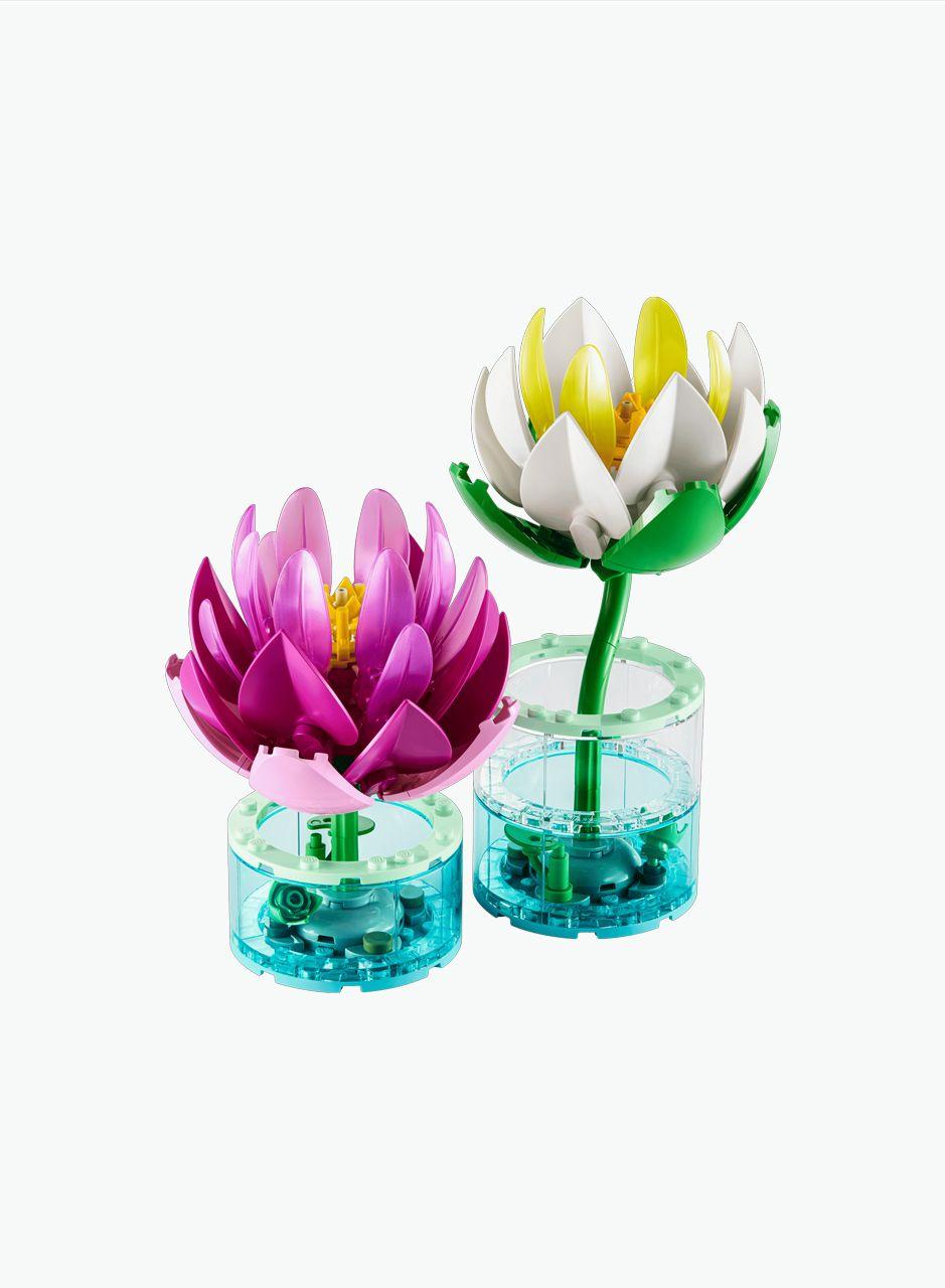 Կառուցողական խաղ Botanical Collection «Ջրաշուշաններ»