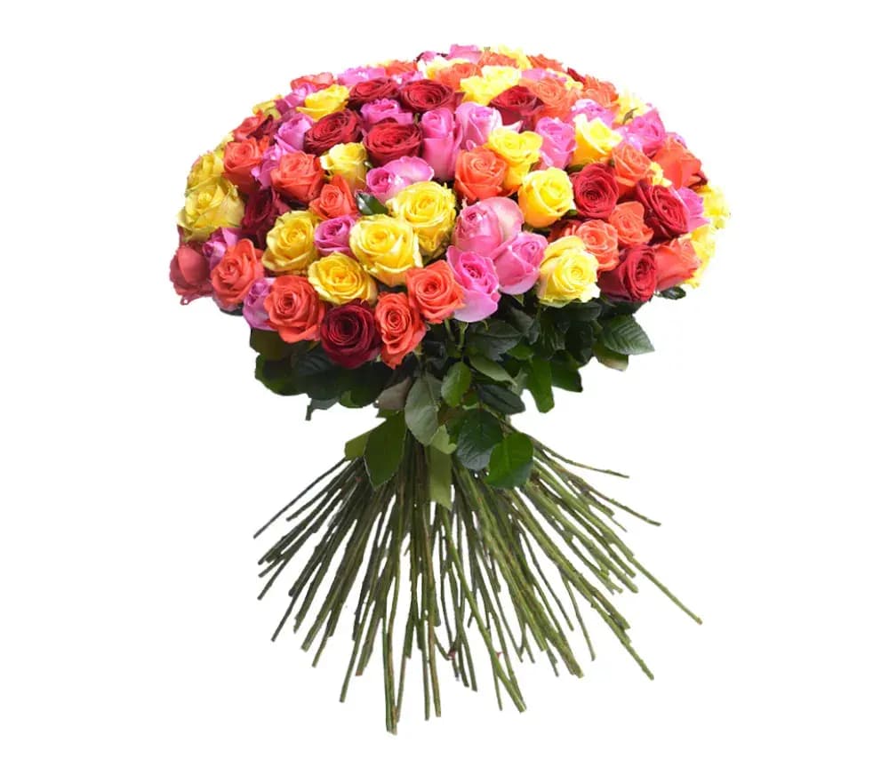 Հոլանդական վարդեր 101 հատ-  Coco Fiori
