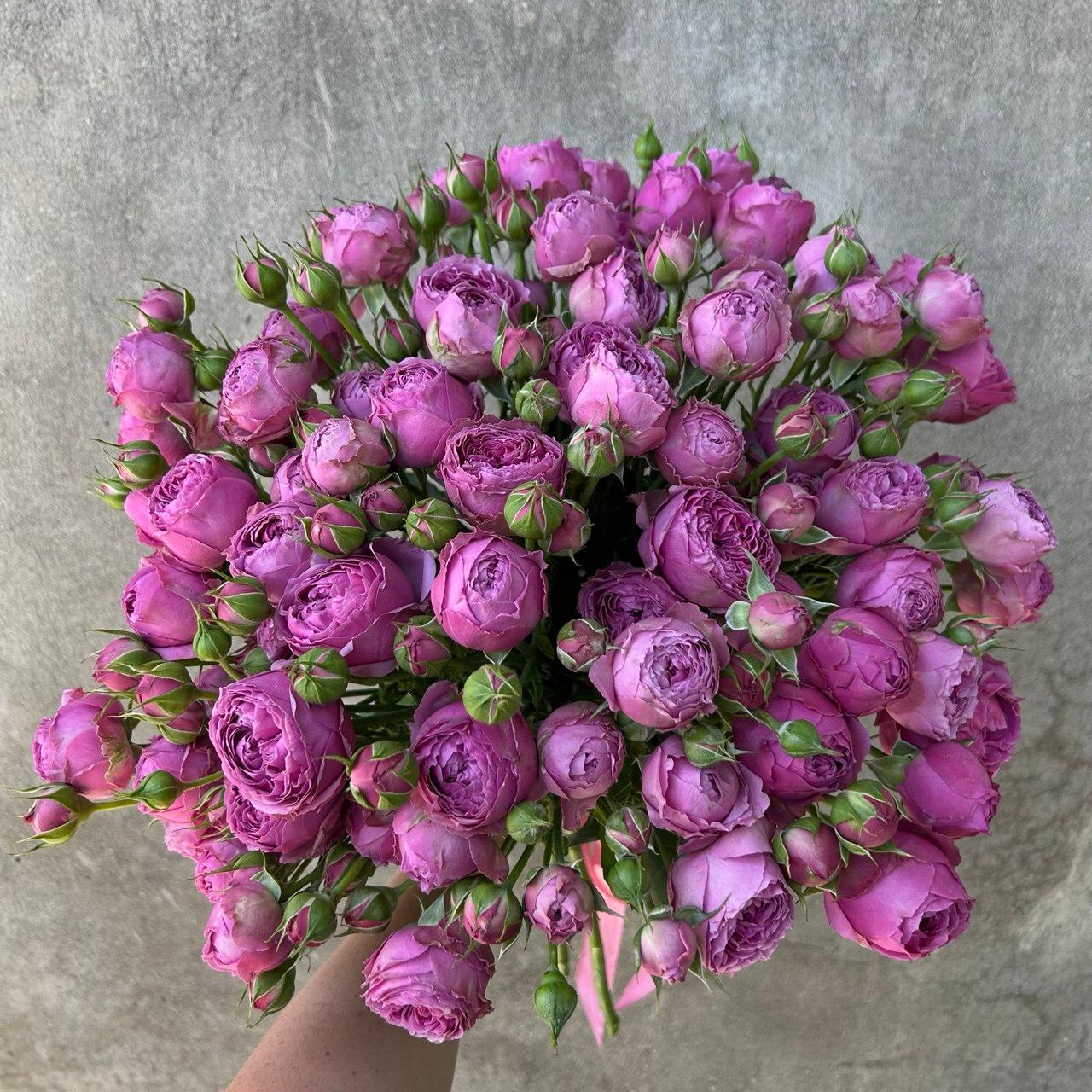 Bouquet of 21 bush peony-shaped roses