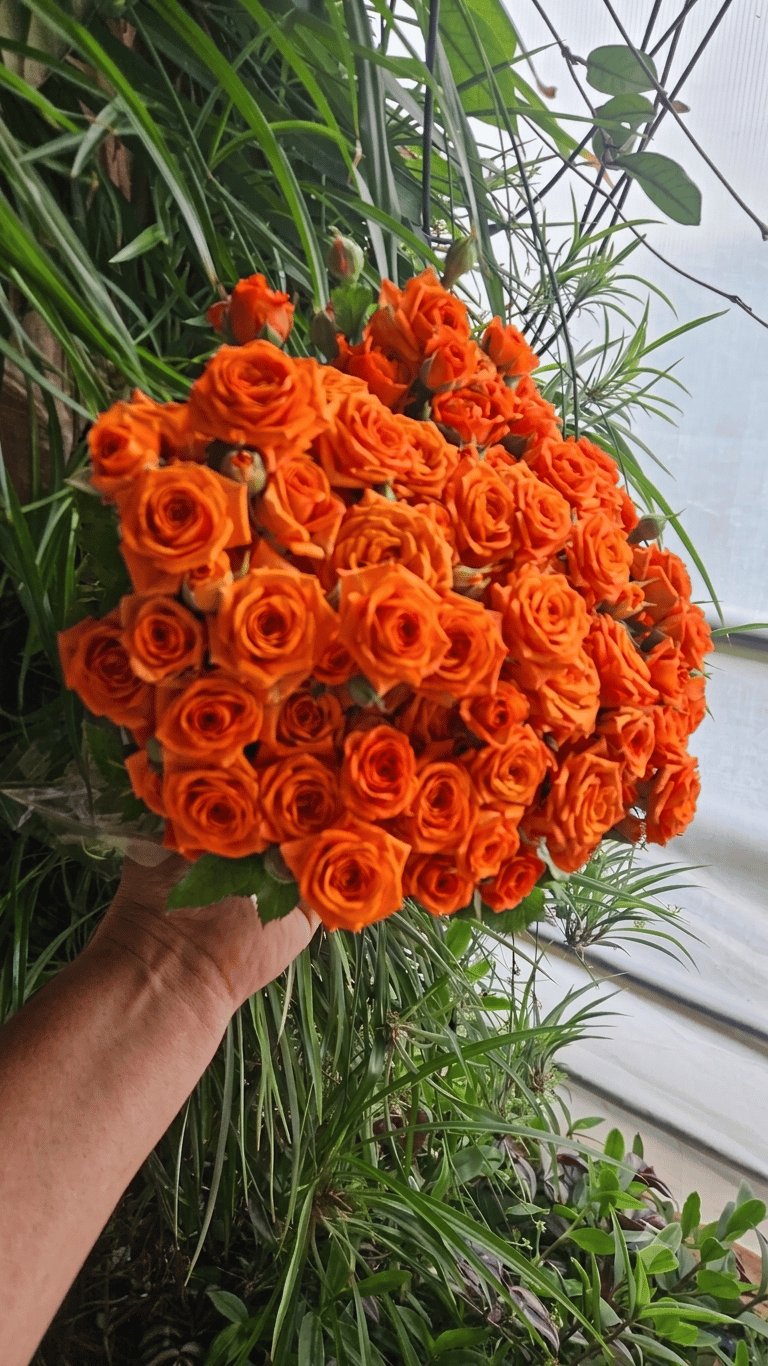 Spray roses - Vardeni