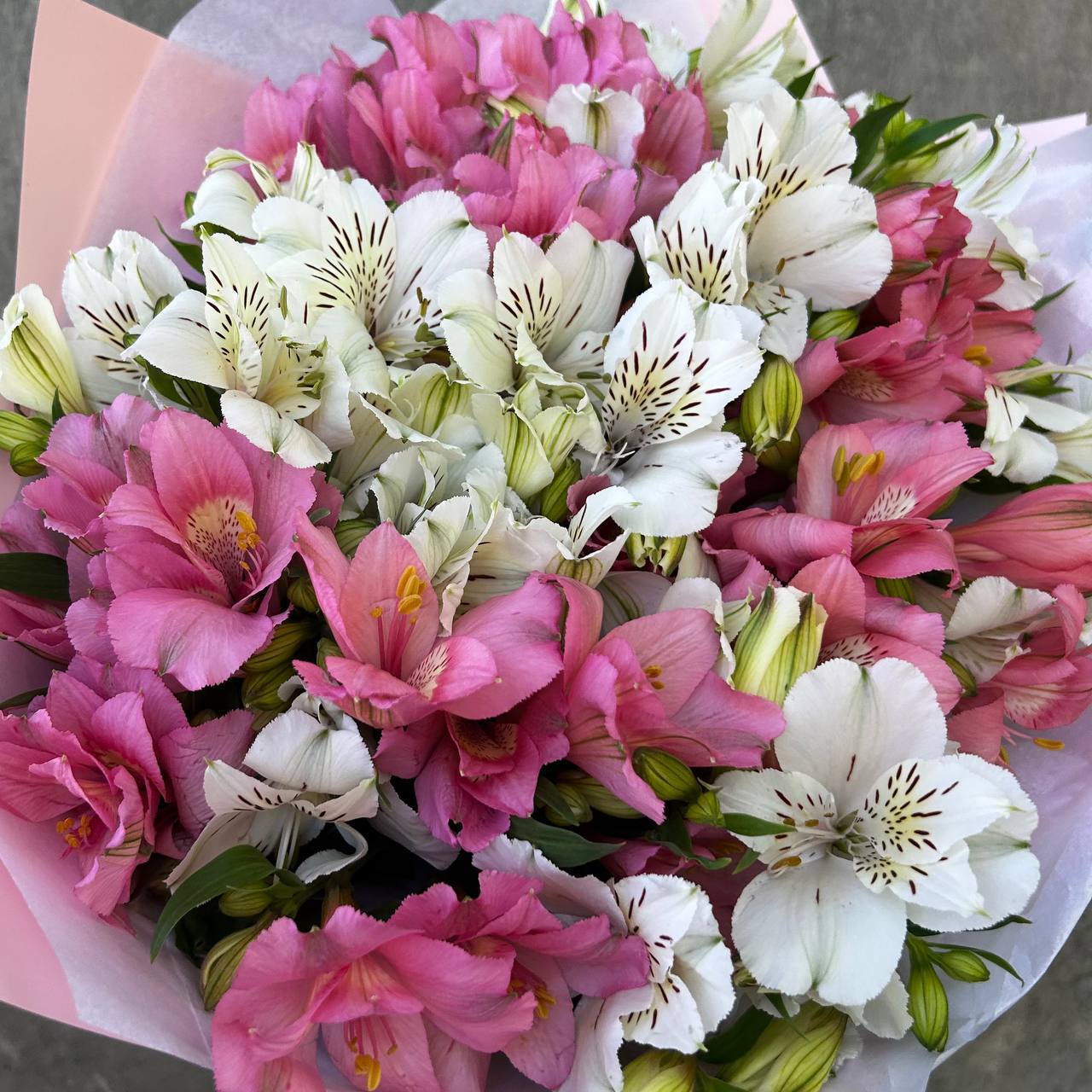 Bouquet of 15 alstroemerias