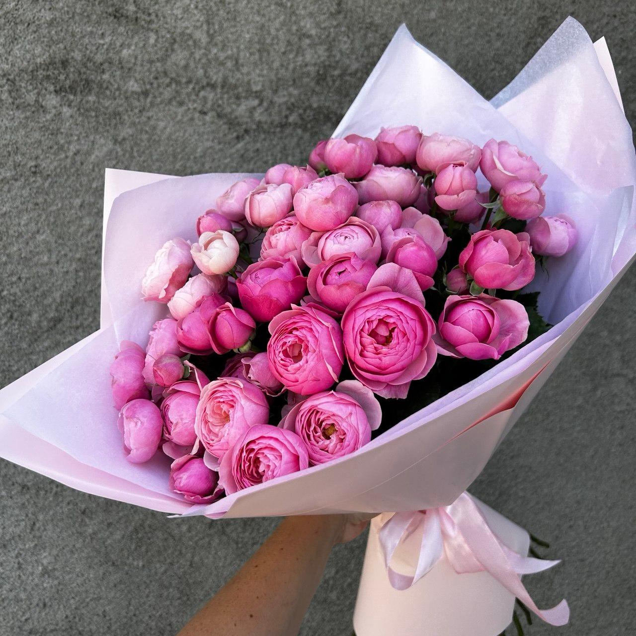 Silva Pink peony-shaped bush rose
