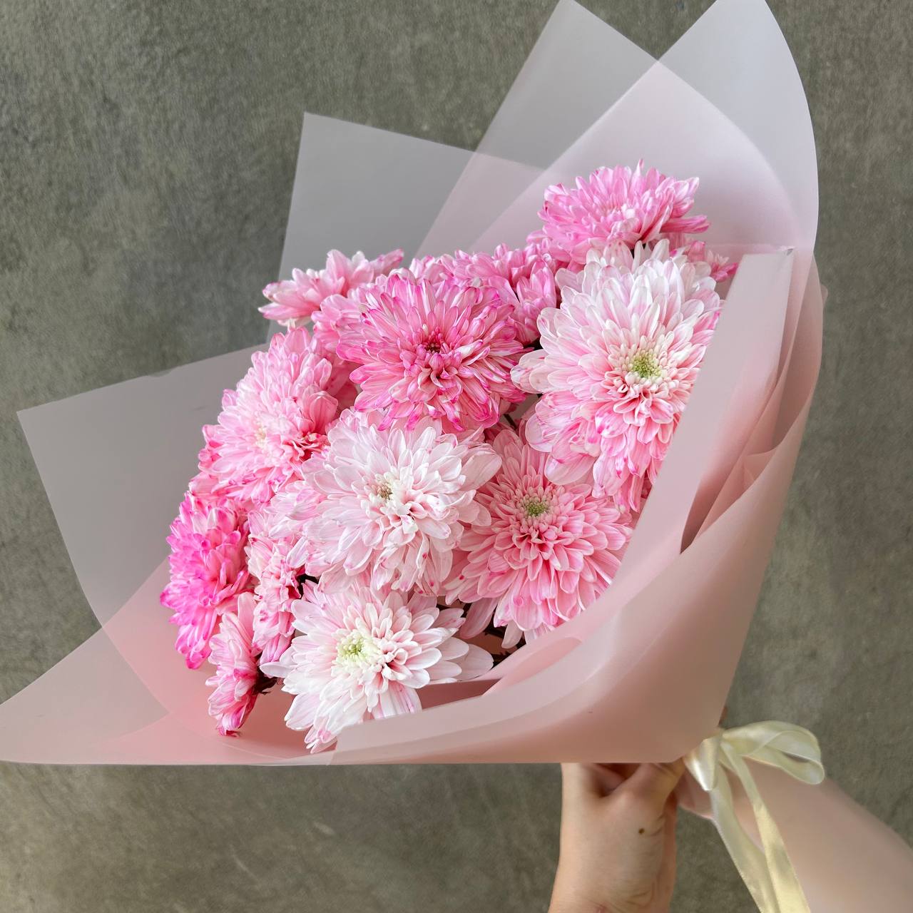 Pink bush chrysanthemums