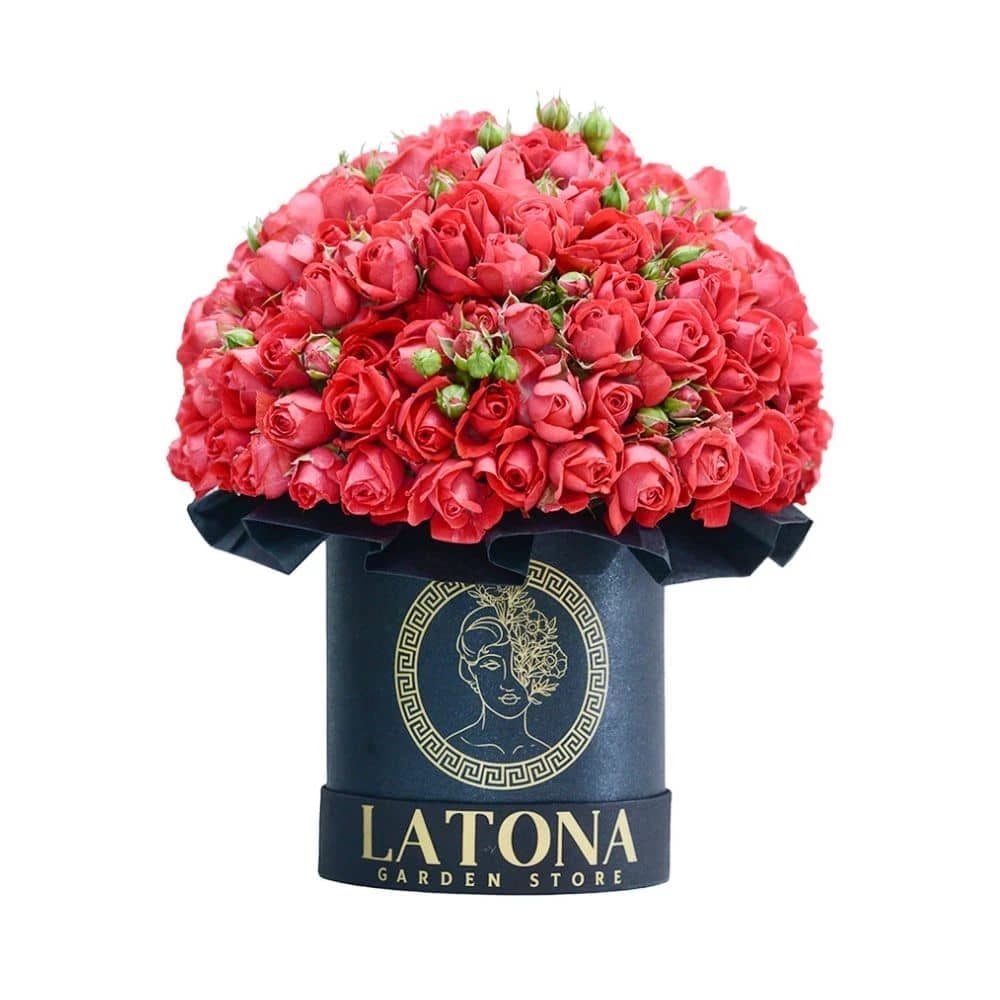 Flowers in a Box "Calypso" with red Spray Roses
