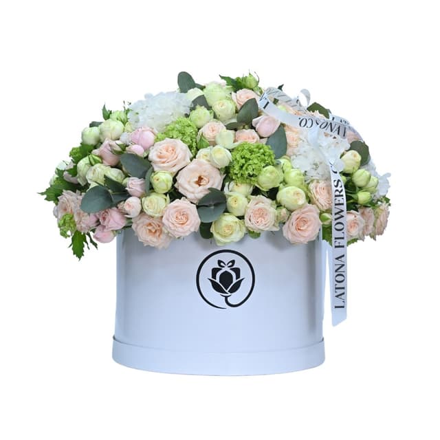 Flowers Box Beauty