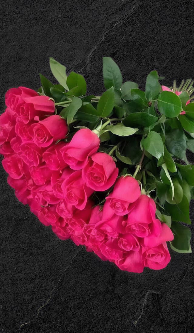 Pink Rose